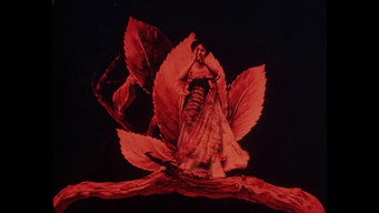 Metamorphosis of a Butterfly (1904)