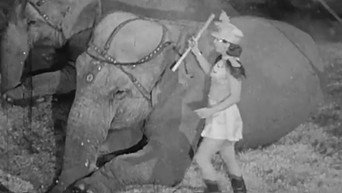 Here Comes the Circus (1946)