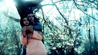 Noorie (1979)