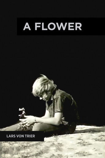 A Flower (1971)