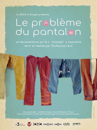 Le probl&egrave;me du pantalon (2020)