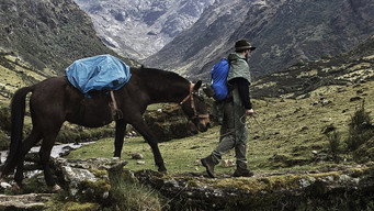 En busca de la Ciudad Perdida (2018)