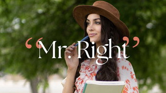 Mr. Right (2023)