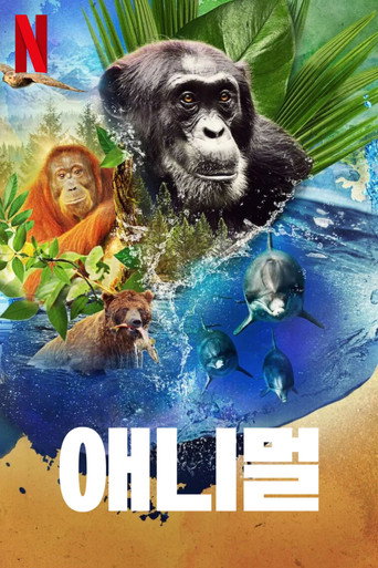 시즌 2
