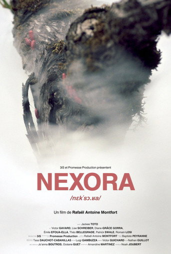 Nexora