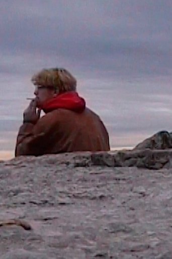 Perdu dans la brume poster