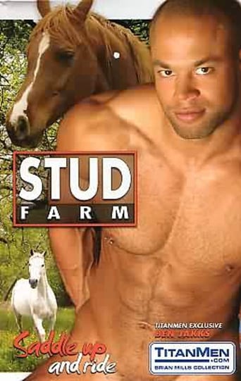 Stud Farm