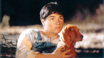 Where the Red Fern Grows (2003)