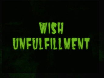 Episode 23 — Wish Unfulfillment