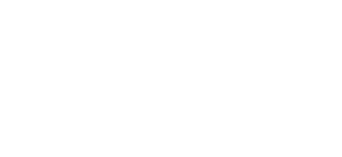 Lone Survivor logo