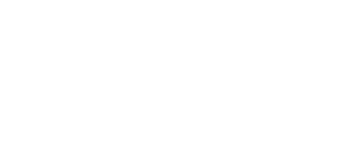 Bird logo