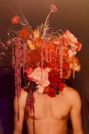 An Endless Fiction poster