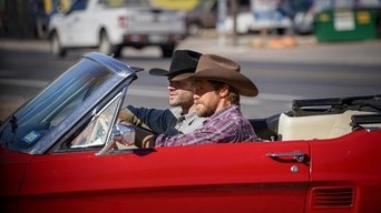 Cena de Boneco Bobblehead