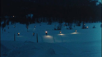 #17 Ice Palace