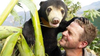 Bears About the House (2020)