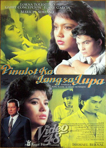 Envy (1987)