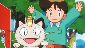 The Purr-fect Hero