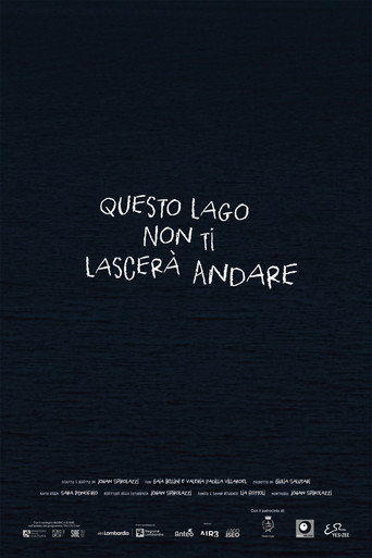 Poster film Questo Lago Non Ti Lascerà Andare