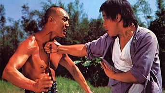 My Kung Fu 12 Kicks (1979)