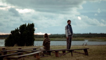 Love Is Blind (2013)