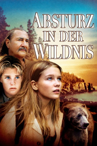 Absturz in der Wildnis