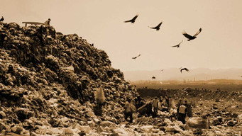 Звалище (2010)
