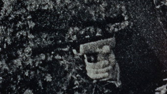 #31 Фотозбільшення