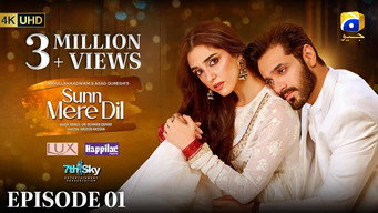 Sunn Mere Dil (2024- )