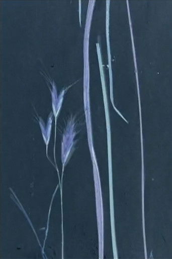 I follow rivers (2017)