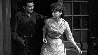 Закон і кулак (1964)