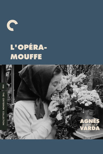 Diary of a Pregnant Woman