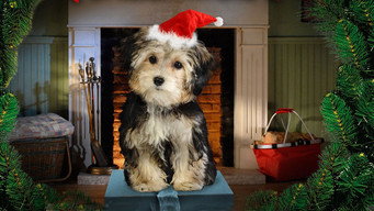 Santa Buddies backdrop 5