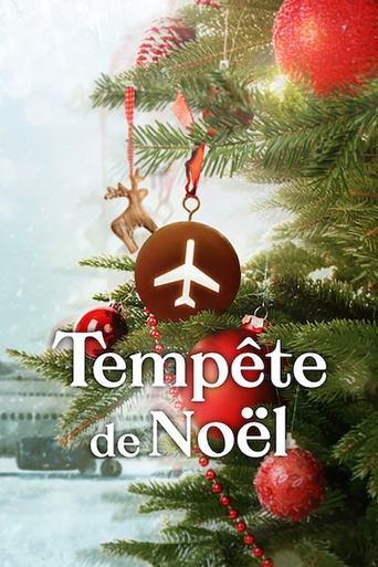 Tempête de Noël torrent magnet 