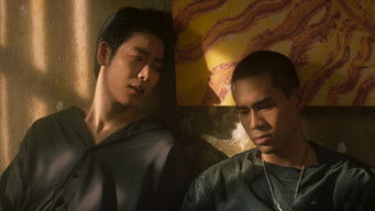 สิ่งที่เลือก