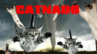 #5 Catnado