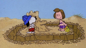 #36 Snoopy Come Home
