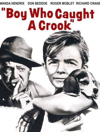 poster of Boy Who Caught a Crook