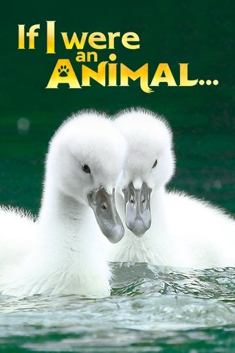 If I were an Animal: Season 1