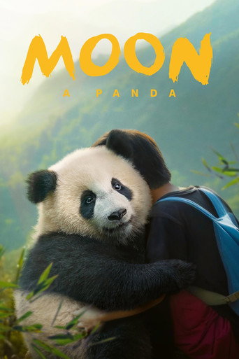 O Menino e o Panda — Pôsteres 22