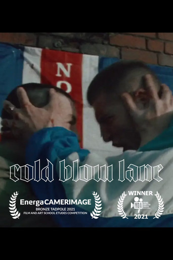 movie poster for Cold Blow Lane