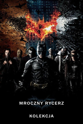 Mroczny Rycerz - Kolekcja