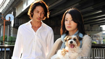 Episode 1 — The Curtain of Revenge Opens!