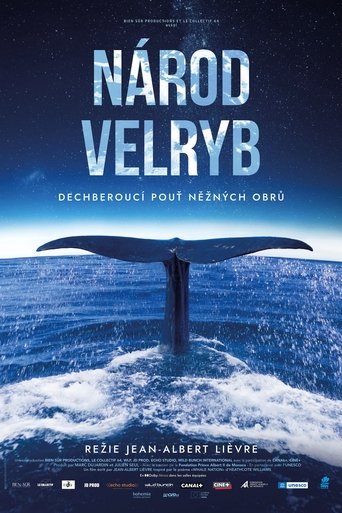 Národ velryb