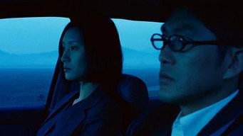 Клуб «Метелик» (2001)