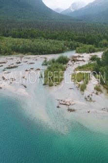 Salmon Reflection poster