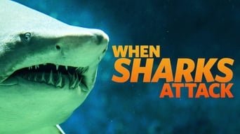 #5 When Sharks Attack