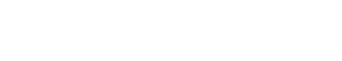Saladin the Victorious logo