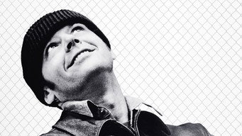 One Flew Over the Cuckoo's Nest backdrop 5