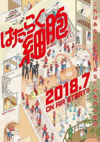 Hataraku Saibou - Lavori in corpo - series Cartoni animati Lavori in corpo - Hataraku Saibou