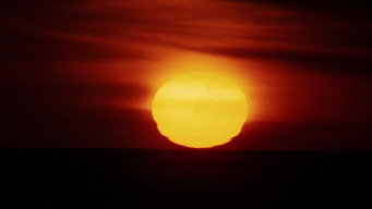 #55 Walkabout